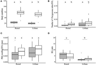 Measures of Health Provide Insights Into the Coping Strategies of Urban Lizards